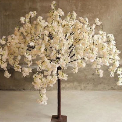 location arbre blanc